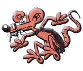 raton