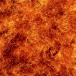 Foc 2
